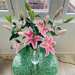 Apartment Außergewöhnliche Boho Mitten In
