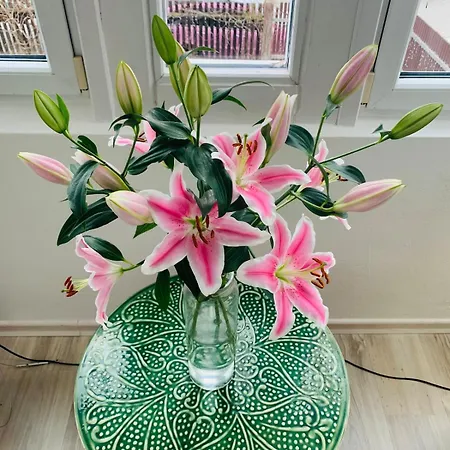 Apartament Aussergewoehnliche Boho Mitten In